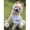 2019 New Hot Sale Embroidery Cute Dog 5d Diamond Painting Kits UK VM8707