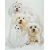 2019 New Hot Sale Decorating Dog Picture 5d Diy Diamond Painting Kits UK VM09529