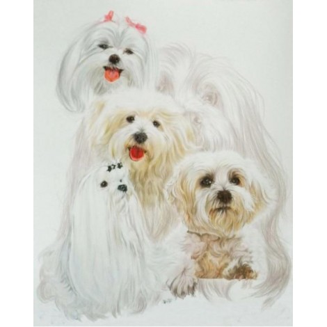 2019 New Hot Sale Decorating Dog Picture 5d Diy Diamond Painting Kits UK VM09529