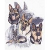 2019 New Hot Sale Decorating Dog Picture 5d Diy Diamond Painting Kits UK VM09532