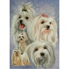 2019 New Hot Sale Decorating Dog Picture 5d Diy Diamond Painting Kits UK VM9533