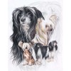 2019 New Hot Sale Decorating Dog Picture 5d Diy Diamond Painting Kits UK VM19534