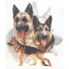 2019 New Hot Sale Decorating Dog Picture 5d Diy Diamond Painting Kits UK VM09538