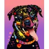 2019 Special Full Square Drill Colorful Dog Decor 5d Diy Diamond Painting Kits UK VM9525