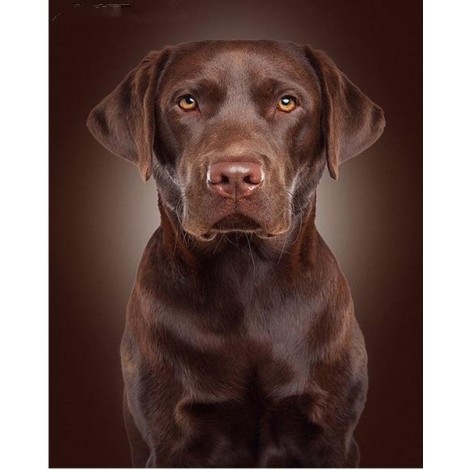 New Arrival Hot Sale Pet Cute Dog Pattern 5d Diy Diamond Painting Kits UK VM9611