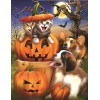 2019 New Hot Sale Halloween Cat Dog Pumpkin 5d Diy Rhinestone Stitch Kits UK VM4083