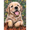 2019 Oil Painting Style 5d Diy Diamond Painting Cross Stitch Kits Dog UK VM3636