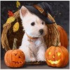 2019 Halloween Dog Full Drill 5D Diy Diamond Painting Kits Uk Cross Stitch VM90190