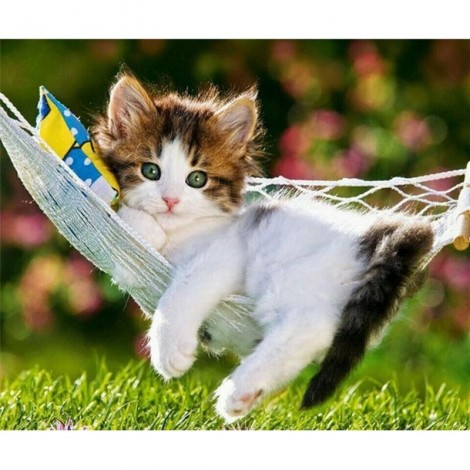 Hot Sale Animals Cat Full Drill 5D Diy Diamond Painting Kits Uk VM91058