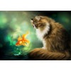 Cat Looking At Fish Full Drill 5D DIY Diamond Painting VM92318