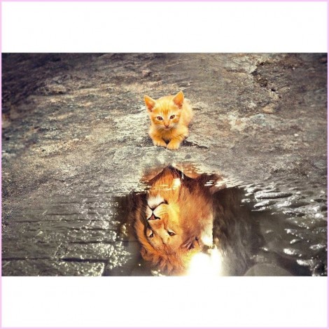 Fantasy  Lion and Cat 5d Diy Diamond Painting Kits UK KN80008