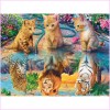 Dream Cat And Animals 5d Diamond Painting Kits KN80137