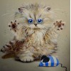 2019 Modern Art Funny Cats 5D DIY Diamond Painting Kits UK VM3744