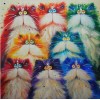 2019 New Hot Sale Funny Cats 5D DIY Diamond Painting Kits UK VM3745