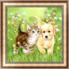 2019 Cheap Diamond Pattern Cat And Dog Diy 5d Diamond Painting Kits UK VM6210