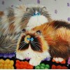 2019 Hot Sale Popular Funny Cat 5D DIY Diamond Painting Kits UK VM7418