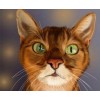 2019 Funny Pet Cute Cat Portrait 5d Cross Stitch Kits VM7509