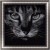 Black White Cat 5d Diy Diamond Painting Kits UK VM92658