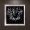 Black White Cat 5d Diy Diamond Painting Kits UK VM92658
