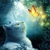 New Arrival Cat And Butterfly 5d Diy Cross Stitch Diamond Painting Kits UK QB7002