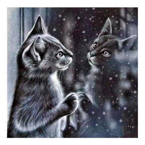 Black And White 2019 Cats In Mirror Cross Stitch Diamond Painting Kits UK VM0093