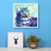 2019 Dream Colorful Cat 5d Diy  Cross Stitch Diamond Painting UK Kits VM0055
