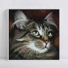 2019 New Hot Sale Cheap Popular Cat 5d Diy Diamond Painting Kits UK VM1185