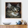 2019 New Hot Sale Cheap Popular Cat 5d Diy Diamond Painting Kits UK VM1185