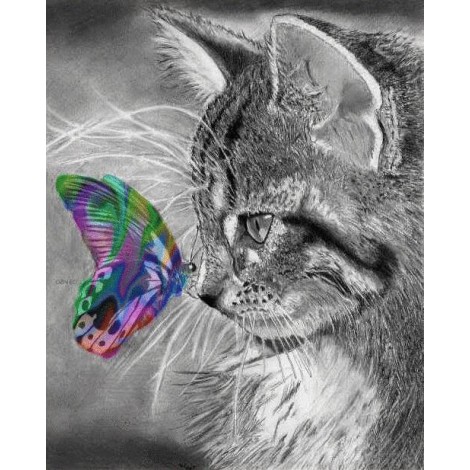 2019 Dream Cat And Butterfly Diamond Painting Full UK VM1091