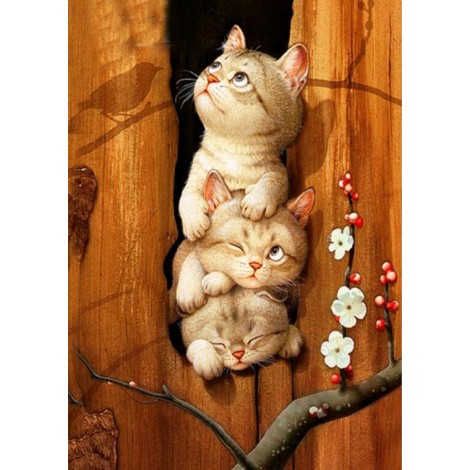 Special Funny Pet Cute Cats Picture 5d Diy Diamond Painting Kits UK VM7255