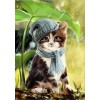 2019 New Hot Sale Cat Home Decor Diy 5d Diamond Painting Set UK VM20076