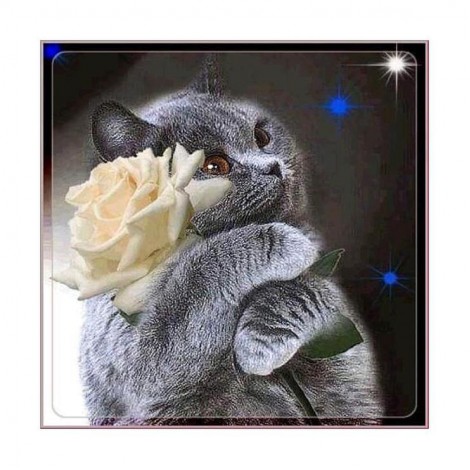 2019 Hot Sale Grey Cat Flower Diy 5d Cross Stitch Diamond Painting Kits UK VM0031