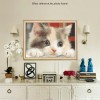 Affordable 2019 New Hot Sale Cute Cat 5D Square Diamond Painting UK VM1126