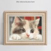 Affordable 2019 New Hot Sale Cute Cat 5D Square Diamond Painting UK VM1126