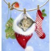 2019 Winter Christmas Card Cute Cat Inside Hat 5d Diy Painting Diamond Uk VM1804
