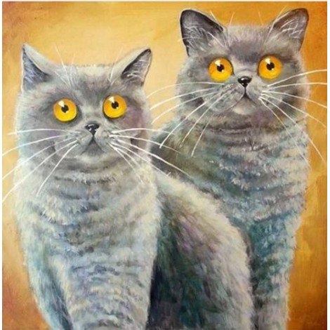 2019 New Hot Sale Funny Cats 5D DIY Diamond Painting Kits UK VM37034