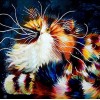 2019 New Hot Sale Modern Art Funny Cats 5D DIY Diamond Painting Kits UK VM37035