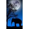 2019 New Dream Night Sky Moon Elephant 5d Diy Diamond Painting Kits UK VM9057