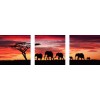 Home Decorate Large Size Elephant Home Decor 5d Diy Diamond Painting Kits UK VM9632
