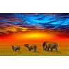 2019 New Dream Photo Elephant 5d Diy Diamond Painting Kits UK VM09061