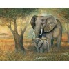 2019 New Hot Sale Photo Dream Elephant 5d Diy Diamond Painting Kits UK VM9065