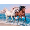 Beach Couple Horse Full Drill 5D DIY Diamond Painting Kits UK VM92310