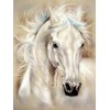 2019 Special Horse Pattern Diamond Painting Cross Stitch Kits UK VM9997