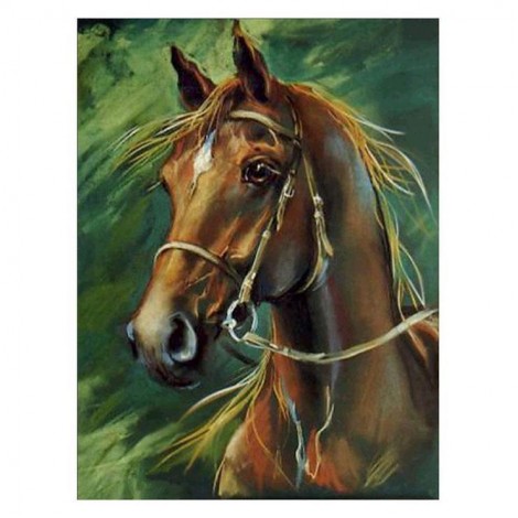 Various Sizes Cool Horse Diamond Painting Kits UK AF9187