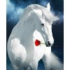 Full Drill 5D DIY Diamond Painting White Horse VM91077