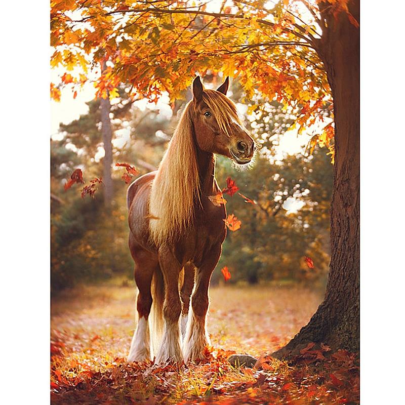 Horse Autumn Maple G...