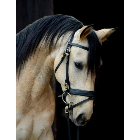 2019 Hot Sale Animal Horse Pattern 5d Diy Diamond Painting Kits UK VM07026