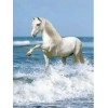 2019 New Hot Sale White Horse Picture 5d Diy Diamond Painting Kits UK VM9773