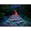 Peacock 5d DIY Diamond Painting Kits UK KN80081