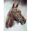 2019 New Hot Sale Horse Pattern Diamond Painting Cross Stitch Kits UK VM20008
